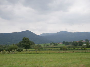 Scenic view of field against sky