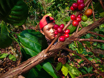 Portrait of man with red berries on plant