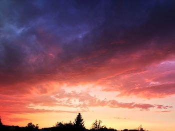 Low angle view of silhouette trees against dramatic sky