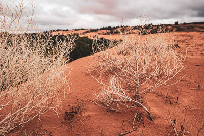 Scenic view of land against sky