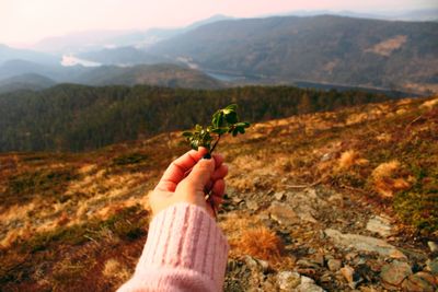 Close-up of hand holding plant against mountain range