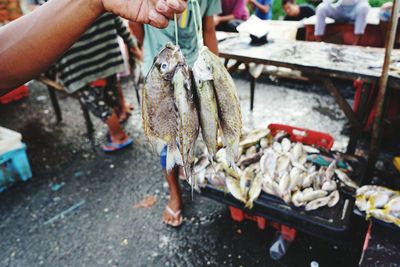 Man holding fish for sale at market