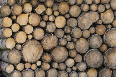 Full frame shot of logs in forest