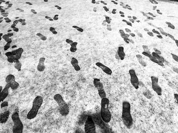 High angle view of footprints on sand