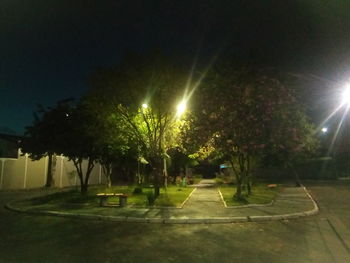 Illuminated street lights by trees at night