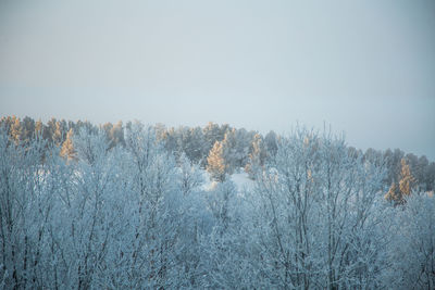 Scenic view of snow covered land against clear sky