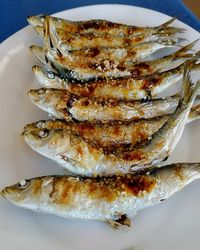 High angle view of fish in plate on table