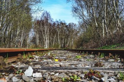 Surface level of railroad tracks