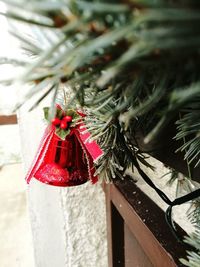 Close-up of christmas decoration hanging on tree