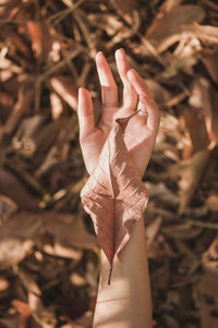 High angle view of hand holding dry leaf on field during autumn