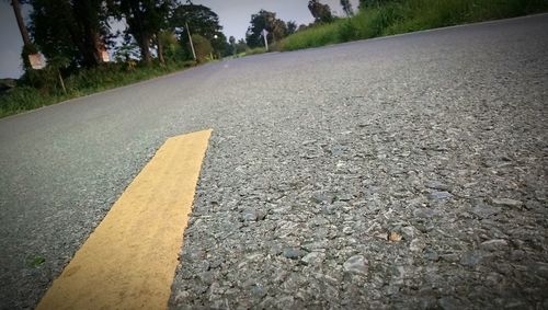 Surface level of road against trees in city