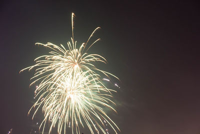 Low angle view of firework display against sky at night