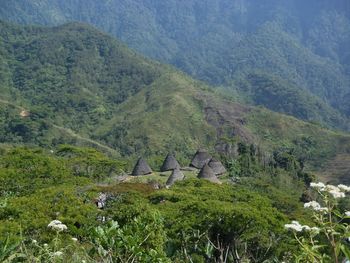 High angle view of trees on landscape