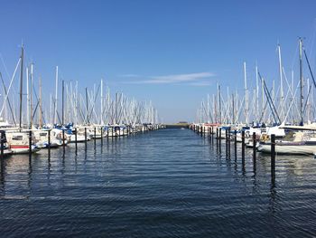 Sailboats moored in harbor