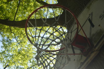 Low angle view of hanging from tree