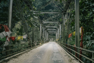 Road amidst trees