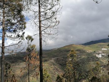 Scenic view of landscape against sky