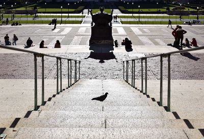 High angle view of bird perching on steps