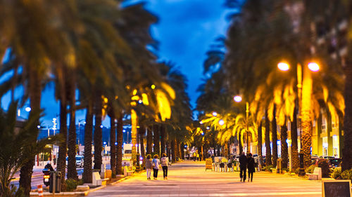 People walking on illuminated street at night