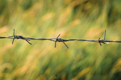 Close-up of barbed wire