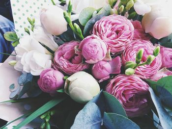 Close-up of pink roses