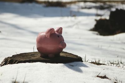 Close-up of piggybank on rock at snow covered field