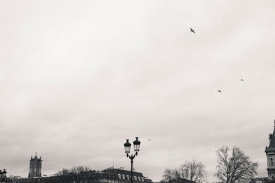 Low angle view of birds flying against sky