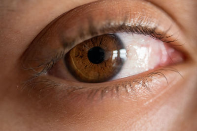 Close-up of human eye