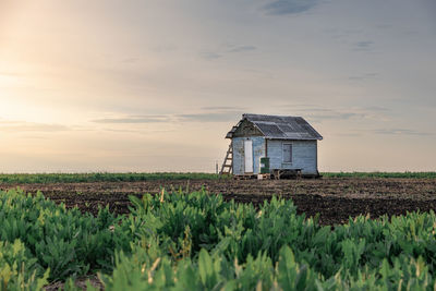 Lonely wooden house between two trees. green grass in the foreground. dark sky. insulation. 