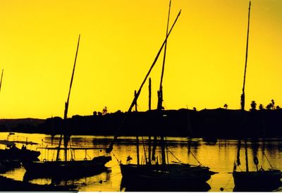 Sailboats in harbor at sunset