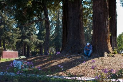 Man standing by trees in forest
