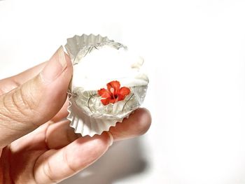 Close-up of hand holding white flower