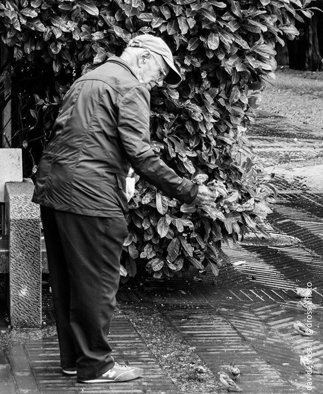 lifestyles, casual clothing, men, standing, leisure activity, rear view, full length, walking, person, day, outdoors, tree, street, holding, footpath, low section, plant, sunlight