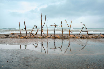 Scenic view of beach against sky