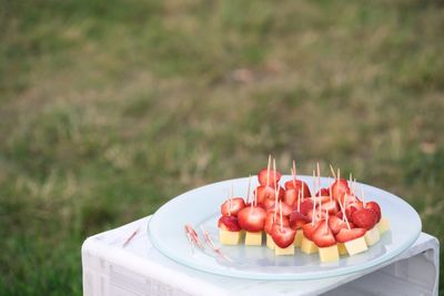 High angle view of strawberry and cheese appetizer served in plate on field at park