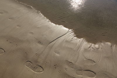 High angle view of footprints on beach