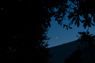 Low angle view of silhouette trees against sky at night