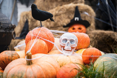 Close-up of pumpkin for sale at market stall