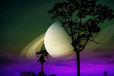 tree