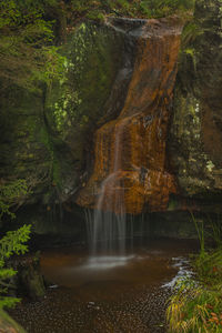 Scenic view of waterfall in forest