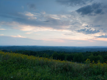 Scenic view of field against sky during sunset