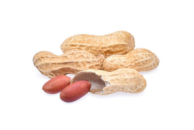 Close-up of groundnut over white background