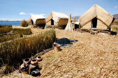 Hay bales on grass