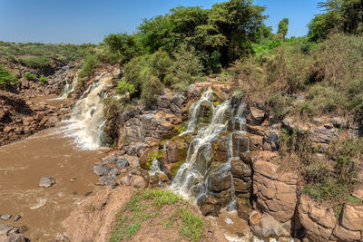 Scenic view of waterfall