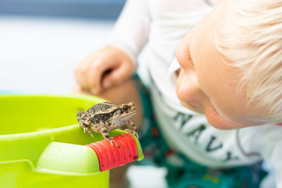 Young boy in swimming suit smiling at a toad on a green bucket.