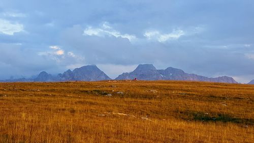 Scenic view of field against sky