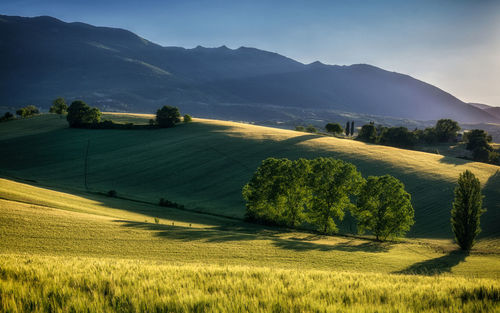 Marche countryside