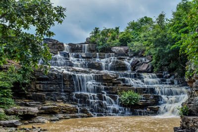 Scenic view of waterfall in forest