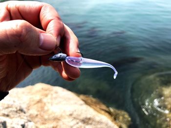 Man holding fish in sea