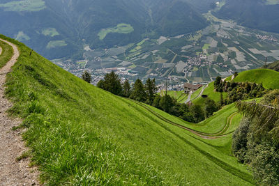 High angle view of trees on field